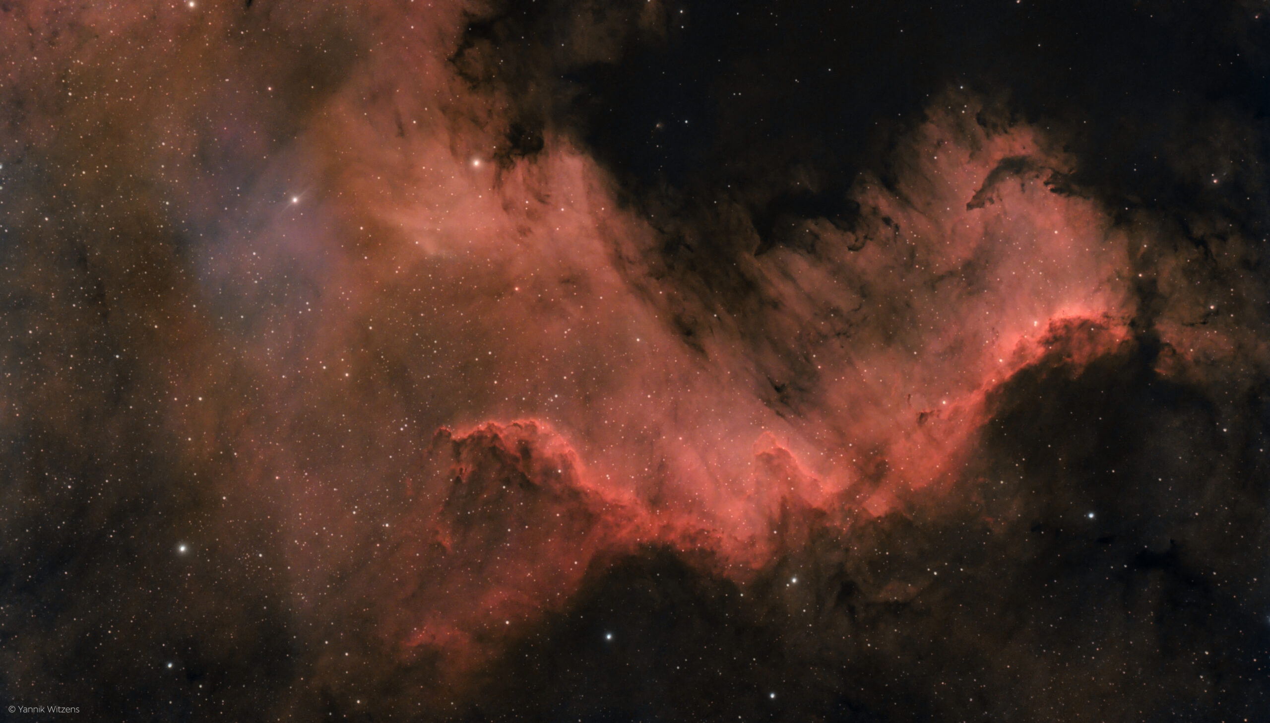 Nordamerikanebel (NGC7000)