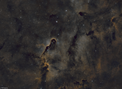 Elefantenrüsselnebel (IC1396)