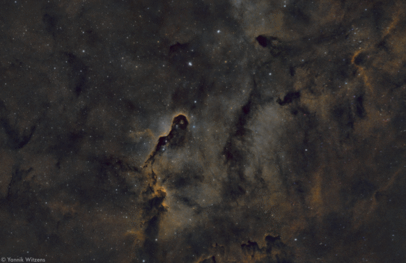 Elefantenrüsselnebel (IC1396)