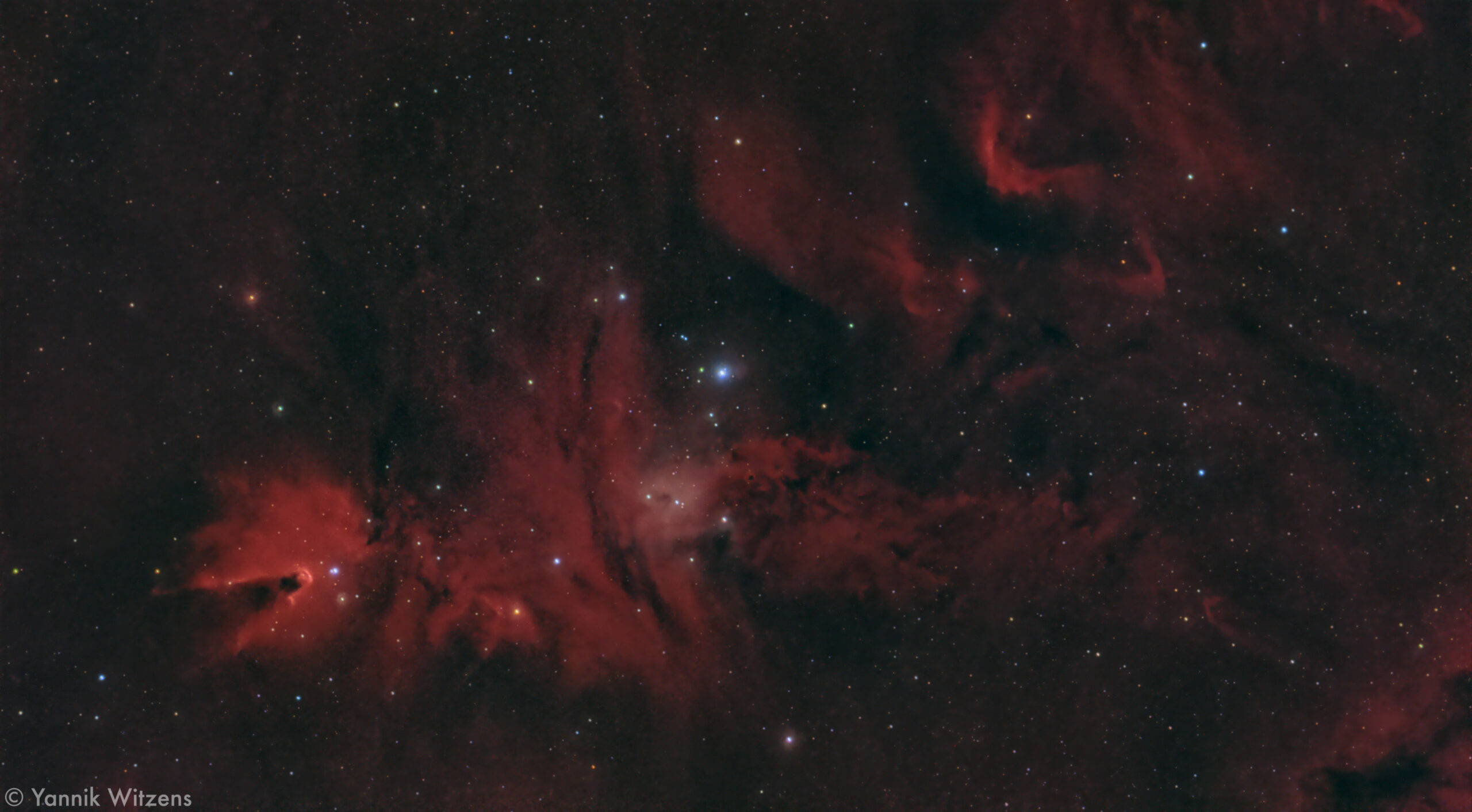 Weihnachtsbaumhaufen (NGC2264)