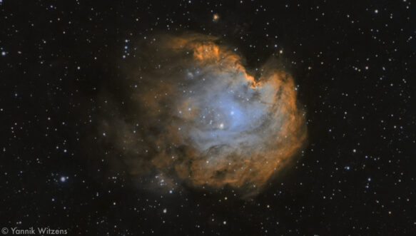 Affenkopfnebel (NGC2174)