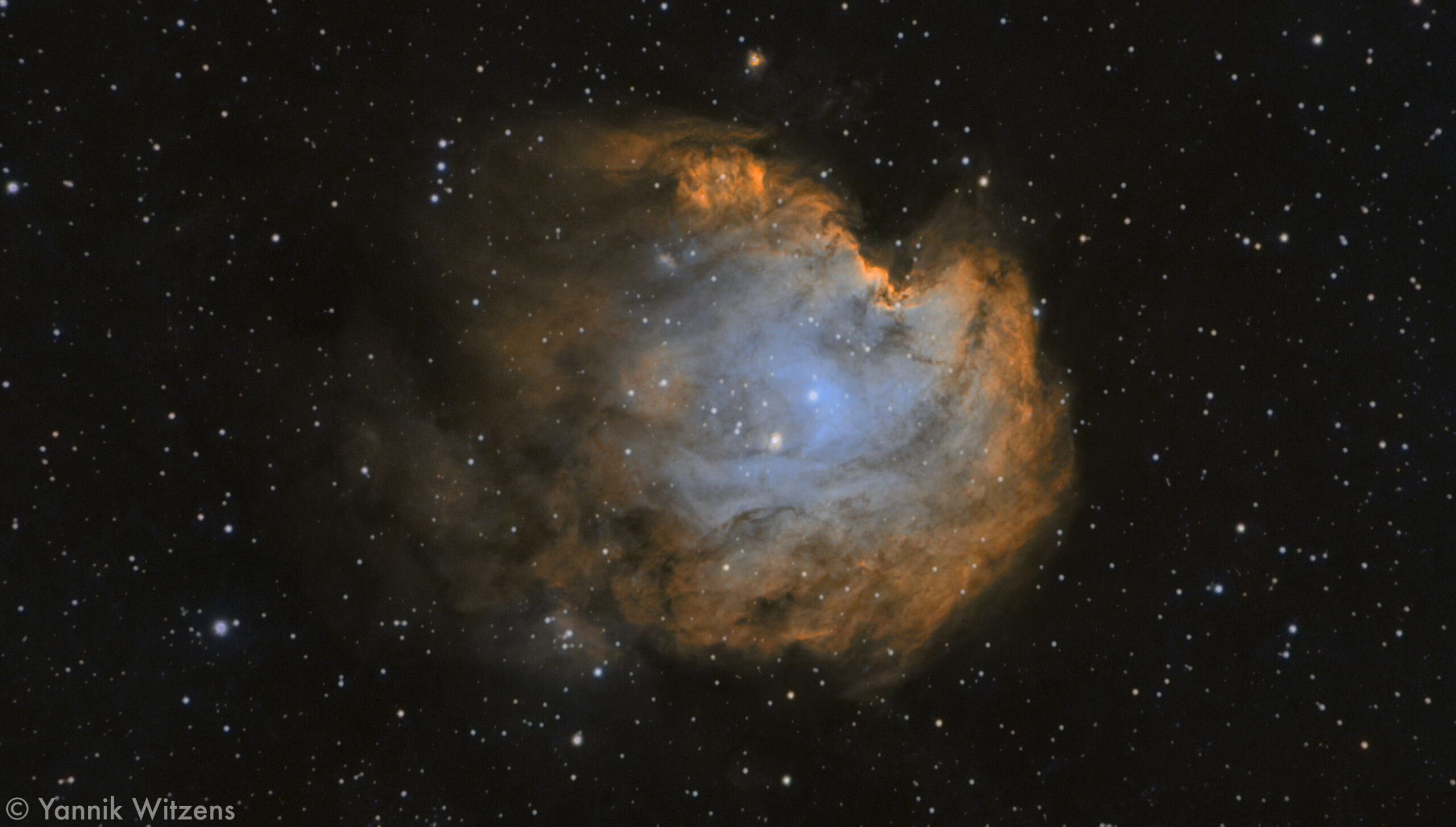 Affenkopfnebel (NGC2174)