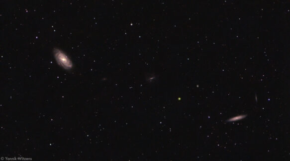 NGC3953, NGC3917