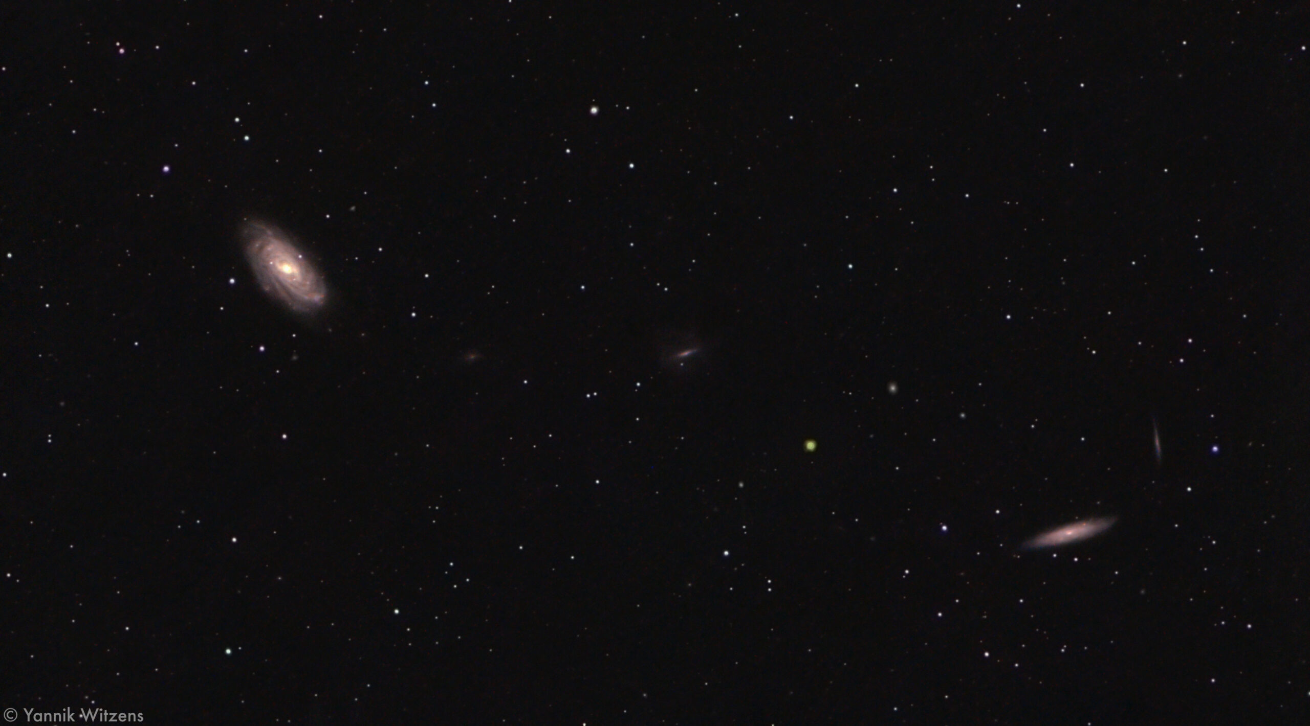 NGC3953, NGC3917